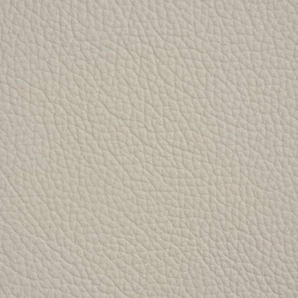 Leather swatch