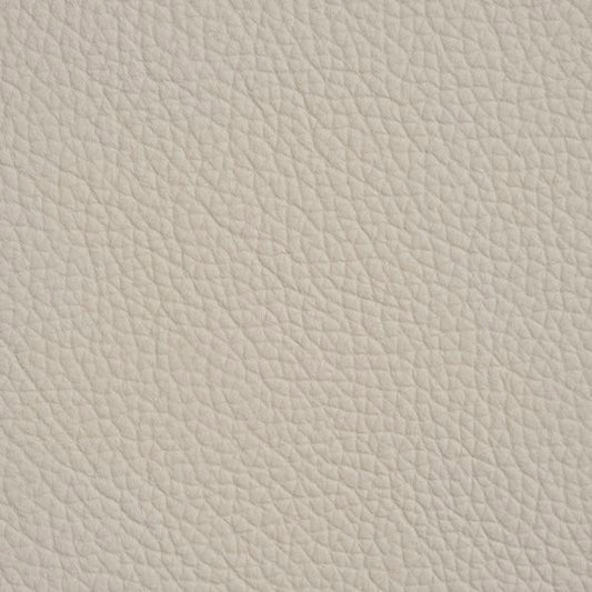 Leather swatch